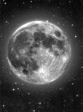 kniha Adresář Krásné paní, Krásná paní 2025