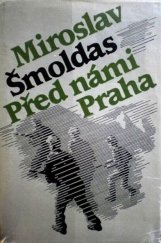 kniha Před námi Praha, Naše vojsko 1985