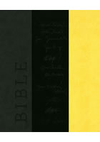 kniha Bible, Euromedia 2013