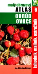 kniha Malý obrazový atlas odrůd ovoce 6, - Jahodník, maliník, ostružiník - jahodník, maliník, ostružiník, TG Tisk 2004