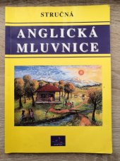 kniha Stručná anglická mluvnice, INFOA 1997