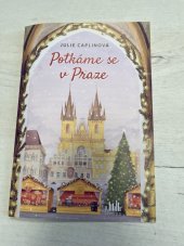 kniha Potkáme se v Praze, Grada Publishing a.s. 2023