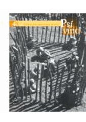 kniha Boban, Petr Štengl 2008