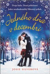 kniha Jedného dňa v decembri, Fortuna Libri 2018