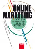 kniha Online marketing, CPress 2014