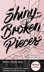 kniha Shiny Broken Pieces , #booklab 2021