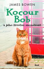 kniha Kocour Bob 3. - a jeho životní moudrost, Ikar 2019