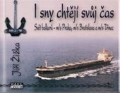 kniha I sny chtějí svůj čas, Mare-Czech 2016