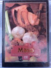 kniha Maso Tradiční i neznámá jídla z masa, Sfinga 1991