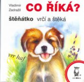 kniha Co říká?, Axióma 2006