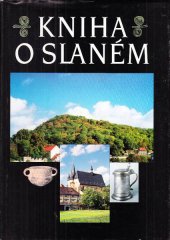 kniha Kniha o Slaném, Městský úřad 1994