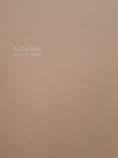 kniha Buďánka ostrov ve městě , Popokatepetl 2020