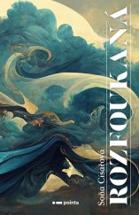 kniha Rozfoukaná, Pointa 2025