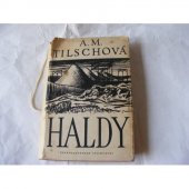 kniha Haldy Román, Československý spisovatel 1954