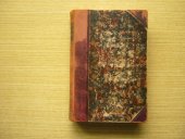 kniha Politické úvahy Gustava Eima, J. Otto 1898