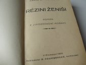 kniha Rézini ženiši román z jihozápadní Moravy, Akcent 2001