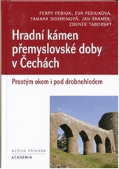 kniha Hradní kámen přemyslovské doby v Čechách prostým okem i pod drobnohledem, Academia 2012