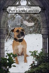 kniha Peří z křídel andělů, Klika 2019