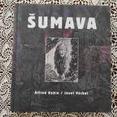 kniha Šumava Alfred Kubin, Josef Váchal, Arbor vitae a Západočeská galerie v Plzni ve spolupráci s Památníkem národního písemnictví v Praze a Galerií výtvarného uměn 2009