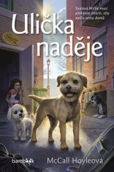 kniha Ulička naděje, Bambook 2025