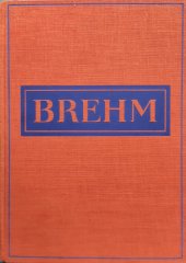 kniha Brehmův Život zvířat Díl 4. - Ssavci - sv. 4. Sudokopytníci ; Poloopice ; Opice, Josef Hokr 1940