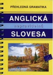 kniha Anglická nepravidelná slovesa přehledná gramatika, INFOA 1997