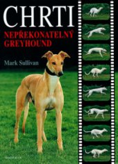 kniha Chrti nepřekonatelný greyhound, Knižní klub 2005