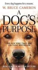 kniha A Dog's purpose Every dog happens for a reason, Tom Dohety Associates 2016
