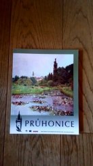 kniha Průhonice, Obec Průhonice 2008
