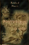 kniha Nostradamus na stopě tajemství velkých mágů : dějinné cykly, klíč k budoucnosti, Aktuell 1997