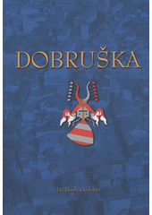 kniha Dobruška, Město Dobruška 2008