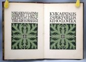 kniha Fatalis zápisky všelijakého člověka, Karel Vika 