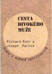 kniha Cesta divokého muže úvahy o mužské spiritualitě, Cesta 2002