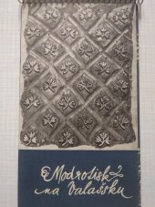 kniha Modrotisk na Valašsku, Valašské muzeum v přírodě 1975
