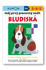 kniha Môj prvý pracovný zošit Bludiská, Svojtka 2020