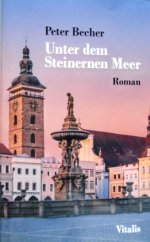 kniha Unter dem Steinernen Meer Ein deutsch-tschechischer Roman, Vitalis 2022