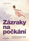 kniha Zázraky na počkání 108 technik, které změní váš život: méně stresu, více soustředění a nalezení skutečného smyslu života, BizBooks 2015