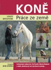 kniha Koně práce ze země, Metafora 2006