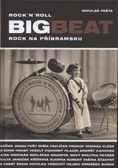 kniha Bigbeat rock'n'roll, rock, swing, jazz, heavy metal, pop rock, mlejn, blues, nová vlna-punk, DJ'S : bigbeat, rock'n'roll, rock na Příbramsku, Mikuláš Music Agency 2011