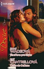 kniha Stvořena pro lásku Cesta do Dallasu, Harlequin 2015