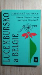 kniha Belgie a Lucembursko průvodce, Epava 1993