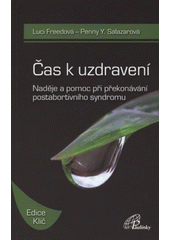 kniha Čas k uzdravení naděje a pomoc při překonávání postabortivního syndromu, Paulínky 2008