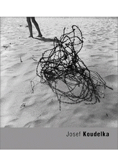 kniha Josef Koudelka, Torst 2002