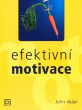 kniha Efektivní motivace, Alfa Publishing 2004