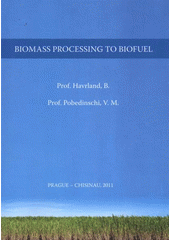 kniha Biomass processing to biofuel monograph, Powerprint 2011