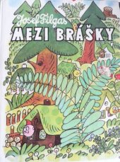 kniha Mezi brášky Bráška Lajdáček, Profil 1987