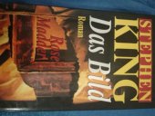 kniha Das Bild Rose Madder, Wilhelm Heyne Verlag 1995