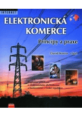 kniha Elektronická komerce principy a praxe, CPress 1998