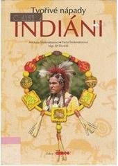 kniha Indiáni tvořivé nápady, Polygra 2005