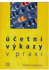 kniha Účetní výkazy v praxi, Kernberg 2007